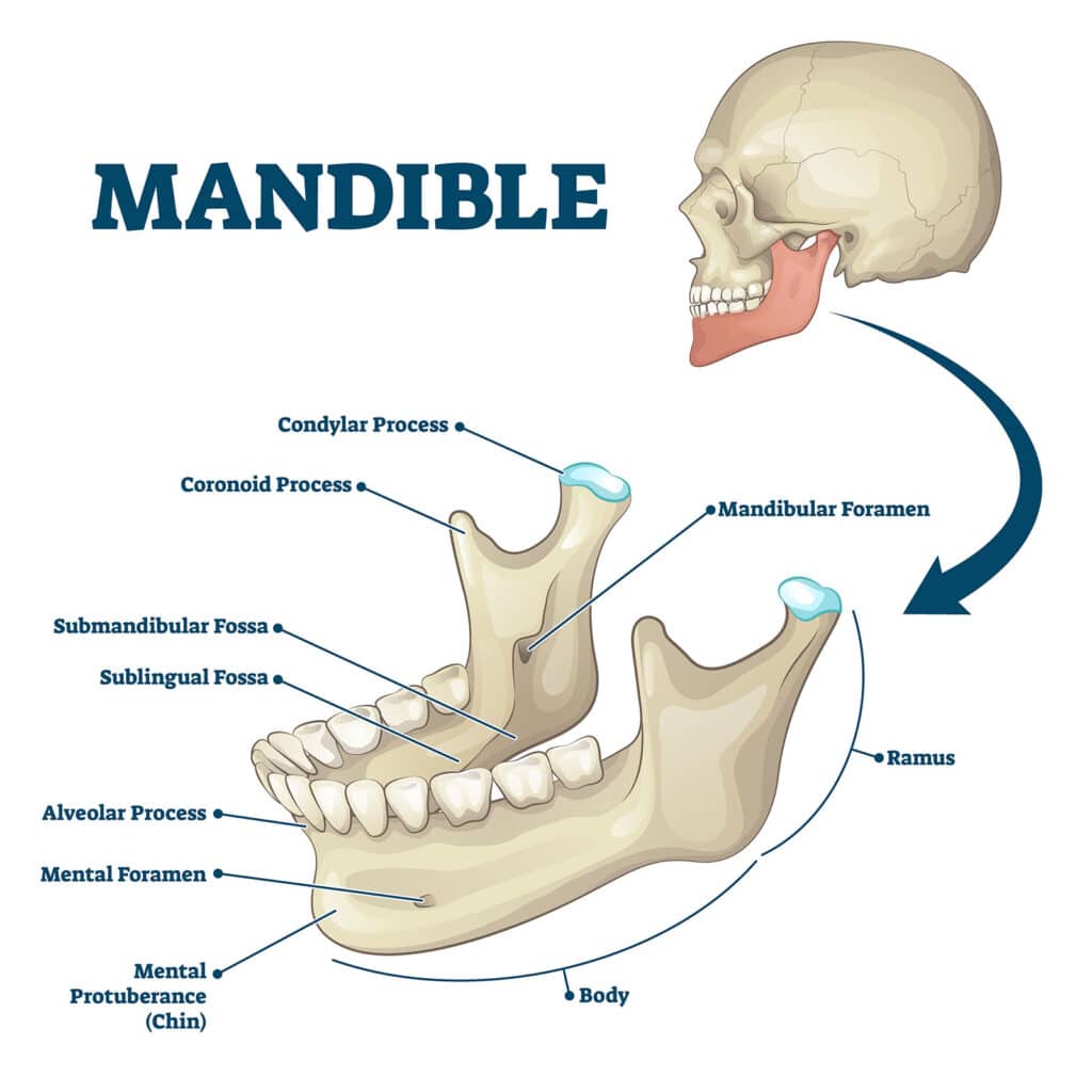 Coke Jaw What Is It And How To Treat It Illinois Recovery Center