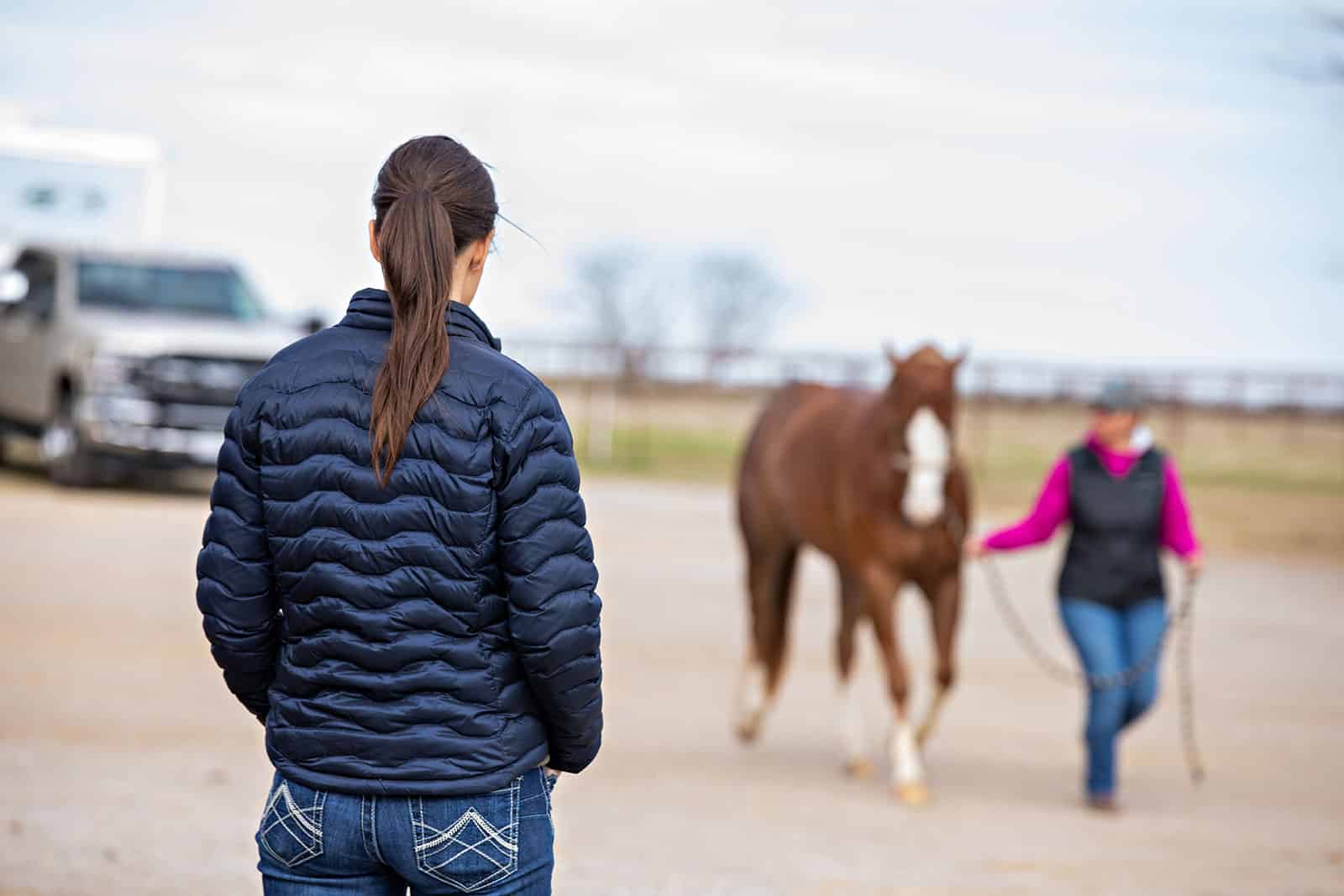 Is Ketamine a Horse Tranquilizer?