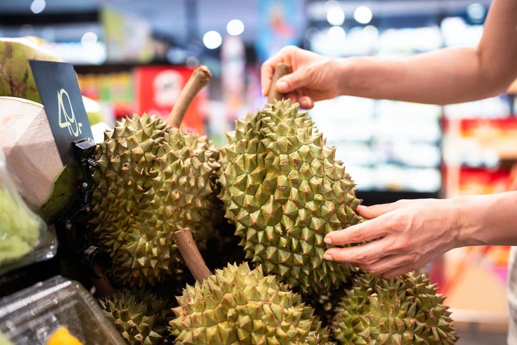 Durian Fruit