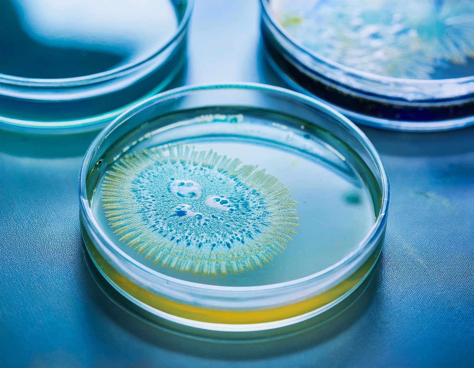 Can You Drink While on Amoxicillin? - Illinois Recovery Center